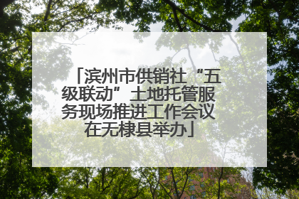 滨州市供销社“五级联动”土地托管服务现场推进工作会议在无棣县举办