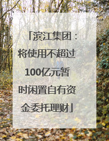 滨江集团：将使用不超过100亿元暂时闲置自有资金委托理财