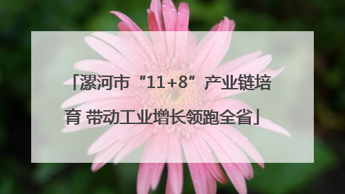 漯河市“11+8”产业链培育 带动工业增长领跑全省