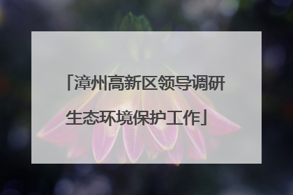 漳州高新区领导调研生态环境保护工作
