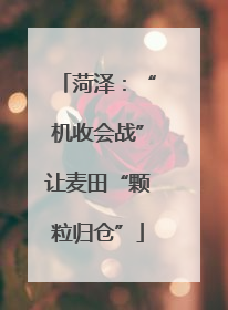 菏泽：“机收会战”让麦田“颗粒归仓”