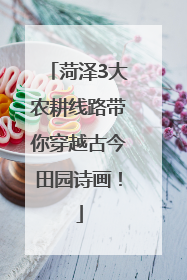 菏泽3大农耕线路带你穿越古今田园诗画！