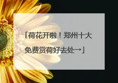 荷花开啦！郑州十大免费赏荷好去处→