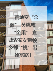 荒地变“金滩” 黄桃成“金果” 宜城农家女带领乡邻“桃”出致富路