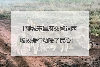 聊城东昌府交警这两场救援行动暖了民心
