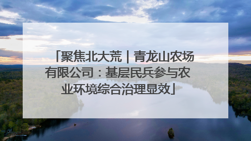 聚焦北大荒｜青龙山农场有限公司：基层民兵参与农业环境综合治理显效