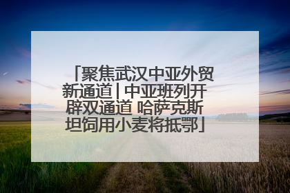 聚焦武汉中亚外贸新通道│中亚班列开辟双通道 哈萨克斯坦饲用小麦将抵鄂