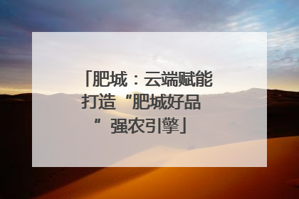 肥城：云端赋能 打造“肥城好品”强农引擎