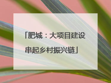 肥城：大项目建设串起乡村振兴链