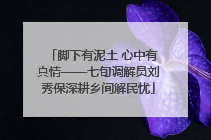 脚下有泥土 心中有真情——七旬调解员刘秀保深耕乡间解民忧