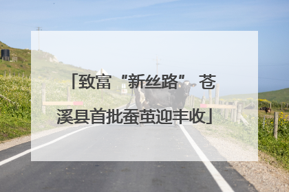 致富“新丝路” 苍溪县首批蚕茧迎丰收