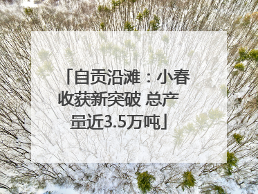 自贡沿滩：小春收获新突破 总产量近3.5万吨