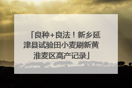 良种+良法！新乡延津县试验田小麦刷新黄淮麦区高产记录