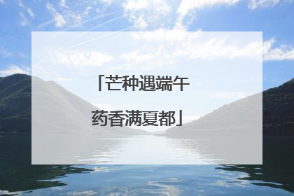 芒种遇端午 药香满夏都
