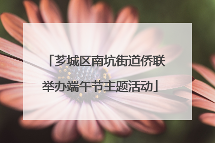 芗城区南坑街道侨联举办端午节主题活动
