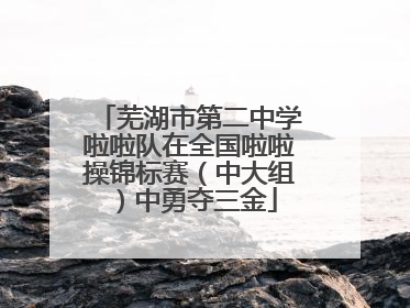 芜湖市第二中学啦啦队在全国啦啦操锦标赛（中大组）中勇夺三金
