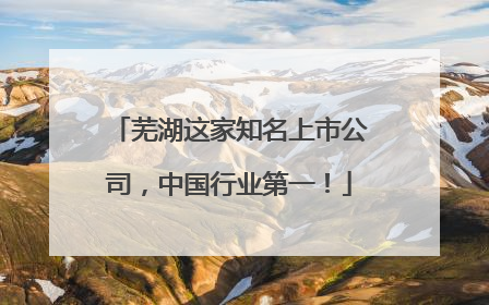 芜湖这家知名上市公司，中国行业第一！