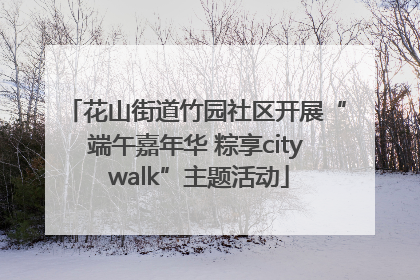 花山街道竹园社区开展“端午嘉年华 粽享city walk”主题活动