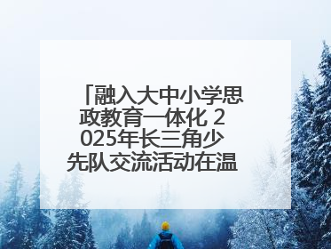 融入大中小学思政教育一体化 2025年长三角少先队交流活动在温岭举办