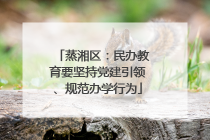 蒸湘区：民办教育要坚持党建引领、规范办学行为