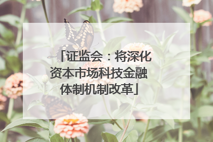 证监会：将深化资本市场科技金融体制机制改革