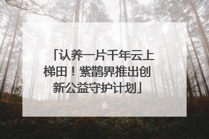 认养一片千年云上梯田！紫鹊界推出创新公益守护计划