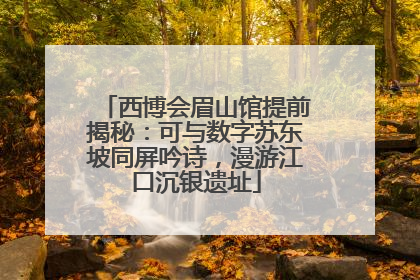西博会眉山馆提前揭秘：可与数字苏东坡同屏吟诗，漫游江口沉银遗址