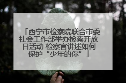 西宁市检察院联合市委社会工作部举办检察开放日活动 检察官讲述如何保护“少年的你”