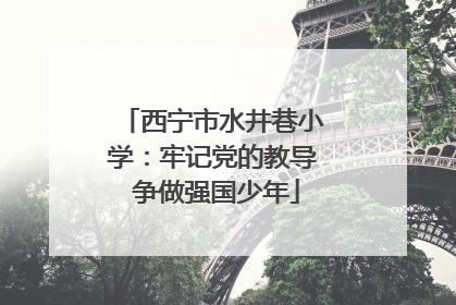 西宁市水井巷小学：牢记党的教导 争做强国少年