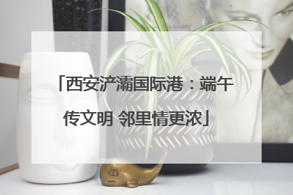 西安浐灞国际港：端午传文明 邻里情更浓