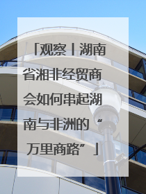 观察丨湖南省湘非经贸商会如何串起湖南与非洲的“万里商路”