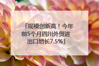 规模创新高！今年前5个月四川外贸进出口增长7.5%