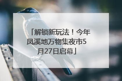 解锁新玩法！今年凤溪地万物集夜市5月27日启幕