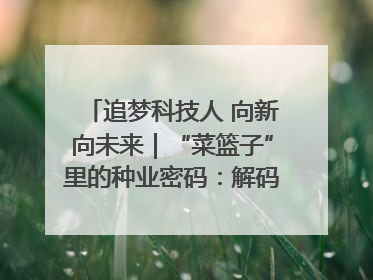追梦科技人 向新向未来｜“菜篮子”里的种业密码：解码南京蔬菜分子育种的创新之路
