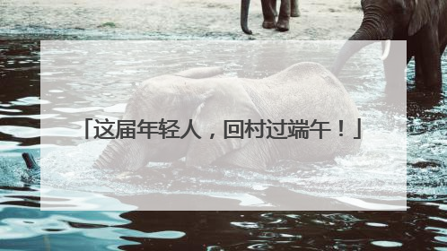 这届年轻人，回村过端午！