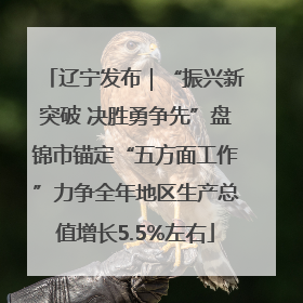 辽宁发布｜“振兴新突破 决胜勇争先”盘锦市锚定“五方面工作”力争全年地区生产总值增长5.5%左右
