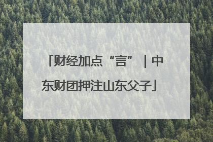 财经加点“言”｜中东财团押注山东父子