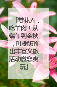 赏花卉，吃羊肉！从端午到金秋，叶榭镇推出丰富文旅活动邀您爽玩