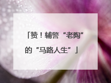 赞！辅警“老陶”的“马路人生”
