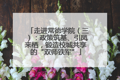 走进常德学院（三）：政策筑基、引凤来栖，锻造校城共享的“双师铁军”
