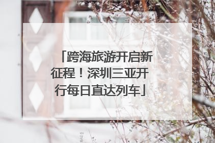 跨海旅游开启新征程！深圳三亚开行每日直达列车
