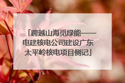 跨越山海觅绿能——电建核电公司建设广东太平岭核电项目侧记