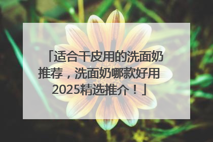适合干皮用的洗面奶推荐，洗面奶哪款好用2025精选推介！