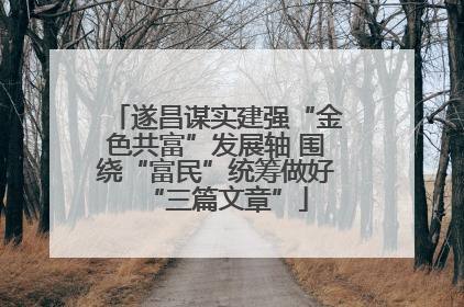 遂昌谋实建强“金色共富”发展轴 围绕“富民”统筹做好“三篇文章”