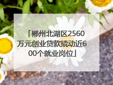 郴州北湖区2560万元创业贷款撬动近600个就业岗位