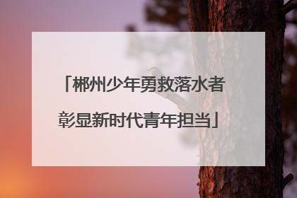 郴州少年勇救落水者 彰显新时代青年担当