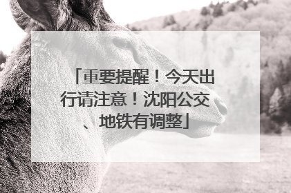 重要提醒！今天出行请注意！沈阳公交、地铁有调整
