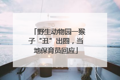野生动物园一猴子“丑”出圈，当地保育员回应