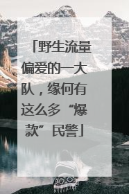 野生流量偏爱的一大队，缘何有这么多“爆款”民警