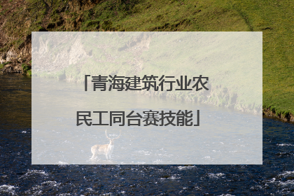 青海建筑行业农民工同台赛技能